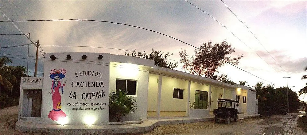 Hotel Hacienda La Catrina Isla Holbox 2*,